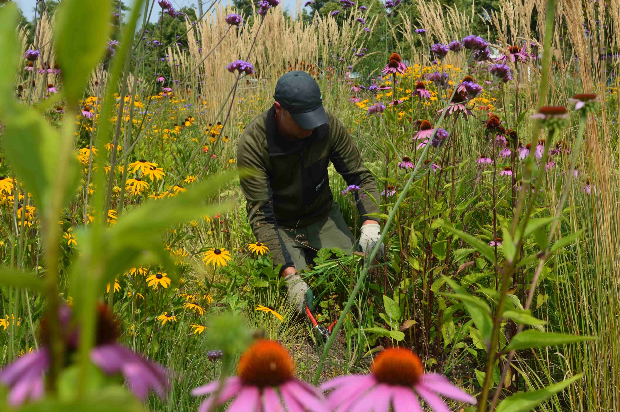 Hovenier in veld met grassen en bloemen die onderhoud doet aan deze tuin